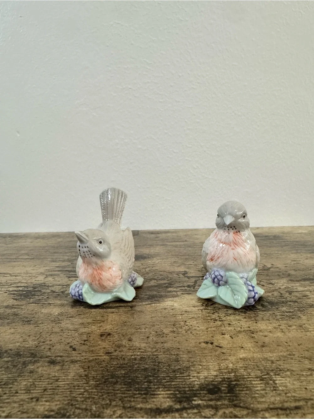 Vintage Bird Salt & Pepper Shakers | Porcelain Floral Berry